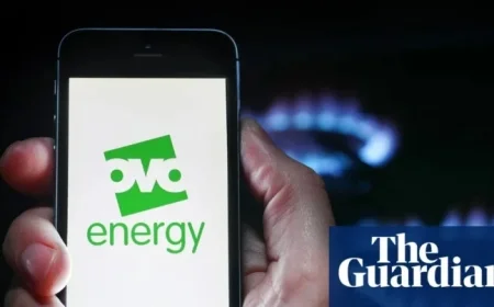 Ovo Energy’s Future Uncertain After Failing Financial Stress Tests