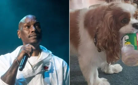 Arrest Warrant Issued for Tyrese Gibson as Dogs Allegedly Kill Neighbor’s Pet