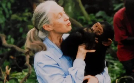 Renowned Chimpanzee Expert Jane Goodall Passes Away at 91