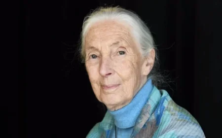 Renowned Primatologist Jane Goodall Passes Away at 91