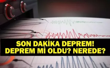 Latest Earthquake Alert: October 2nd Tremor Details from AFAD and Kandilli