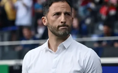 Fenerbahce vs Nice: Preview, Predictions, Team News, Lineups