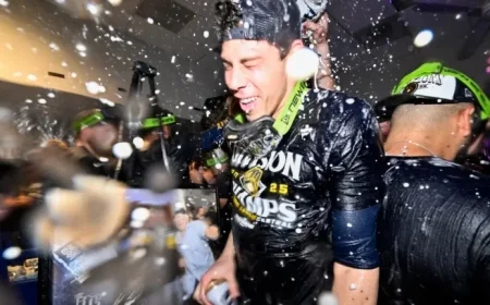 2025 Brewers Playoff Schedule: Complete MLB Postseason Games and Bracket