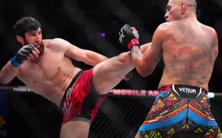 Magomed Ankalaev Shows Improved Performance