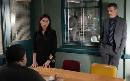 Maura Tierney and Reid Scott Discuss Riley’s Brother Return on ‘Law & Order’