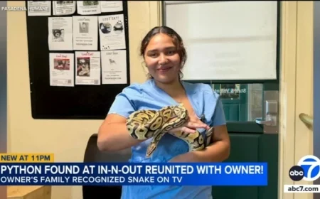 Lost Python at Monrovia In-N-Out Reunites with Owner