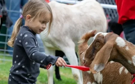 Manhattan Beach Hosts 53rd Annual Hometown Fair This Weekend