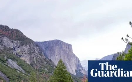 Climbing Prodigy Balin Miller, 23, Dies in El Capitan Fall