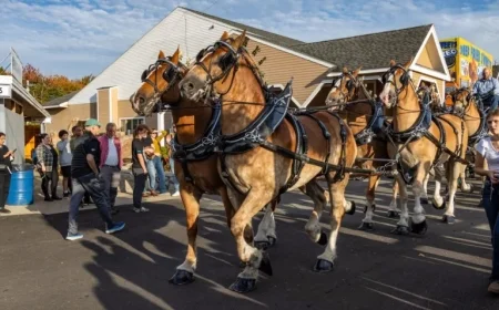Topsfield Fair 2025: Your Guide to Concerts and Clydesdales