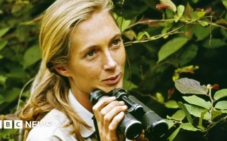 Dame Jane Goodall Transforms Our Understanding of Primate Relatives