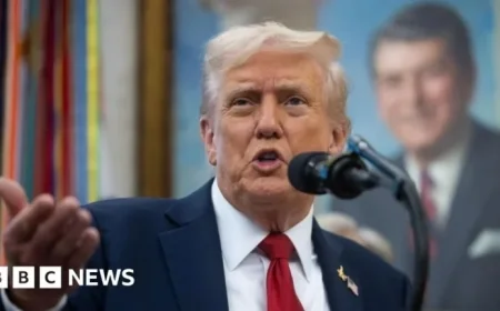 Trump Targets ‘Democrat Agencies’ Amid Capitol Hill Blame Game