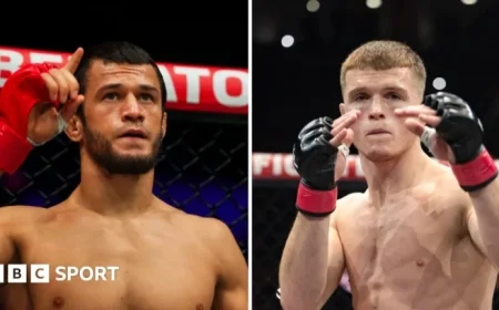 Experts Predict Nurmagomedov vs Hughes 2 MMA Title Clash