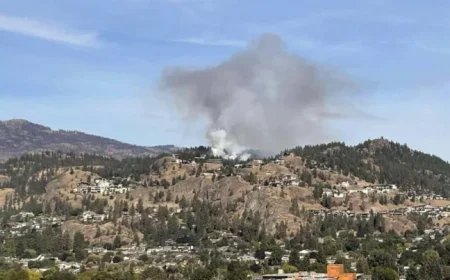 Smoke from Knox Mountain: No Cause for Alarm