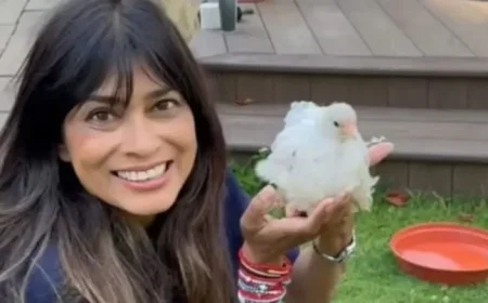 Inside Nisha Katona’s Life: Mowgli Founder at Home and in Liverpool