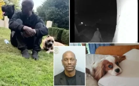 Tyrese Gibson Arrested After Dogs Kill Neighbor’s Dog in Georgia