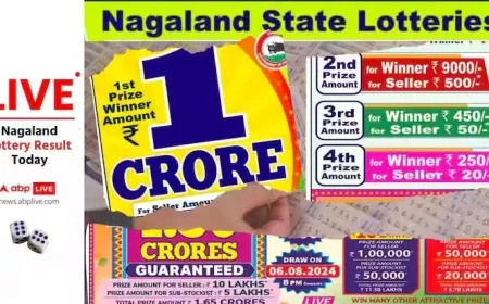 Nagaland Lottery Sambad: Dear MEGHNA 1 PM Results for October 3, 2025