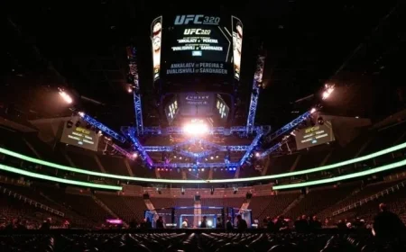 Ankalaev vs Pereira 2: Preliminary Results Revealed