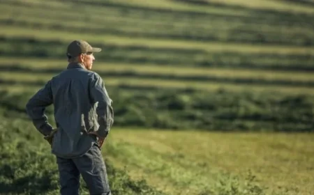 Soaring Farm Bankruptcies Prompt Trump’s $14 Billion Bailout Plan