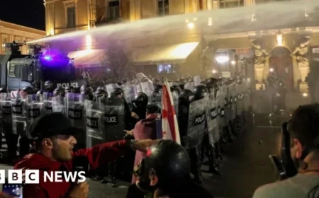 Protesters Attempt to Storm Tbilisi Presidential Palace in Georgia
