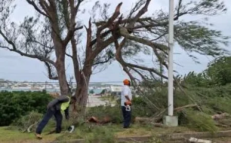 Island Launches Cleanup Effort Following Imelda’s Aftermath