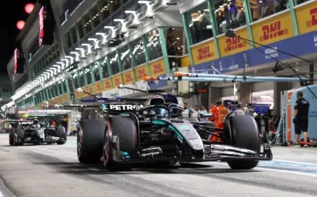 Singapore GP Strategy Options Explored