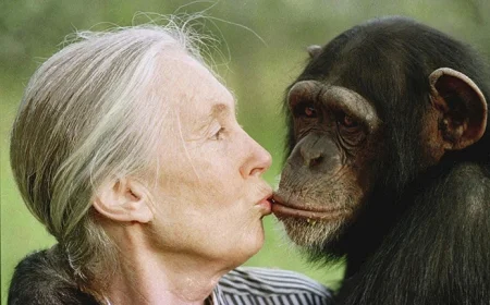 Jane Goodall Cause of Death Revealed: How the World Lost a Conservation Icon at 91