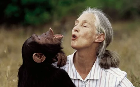 Breaking: Jane Goodall Cause of Death Disclosed — A Life That Transcended Loss and Inspired the World