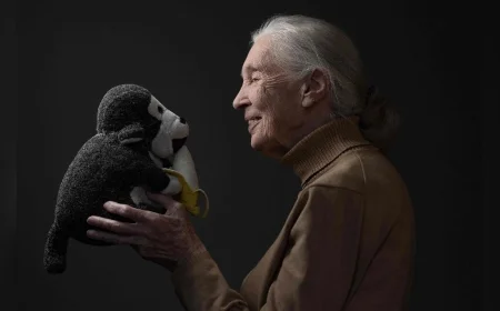 Jane Goodall Cause of Death: World Mourns the Peaceful Passing of a Global Conservation Icon at 91