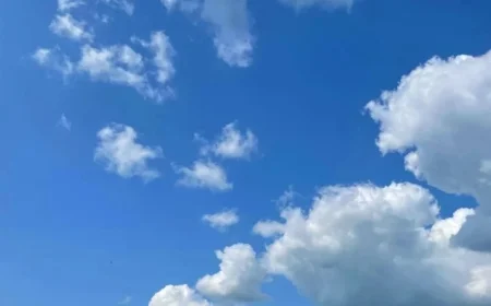 Bluesky Acquires Waffles: A TechCrunch Exclusive