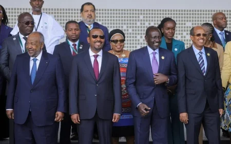 African Nations Unite for a Green Revolution: Pushing Climate Innovation, Finance, and New Laws