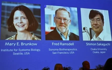 Two US Scientists and a Japanese Researcher Win Nobel Prize in Medicine