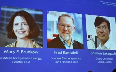 American and Japanese Scientists Clinch Nobel Prize in Medicine