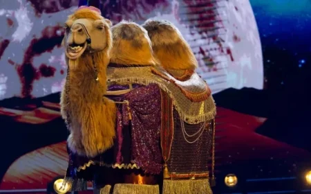 Masked Singers: “Bibi et Geneviève” Youth Show Duo Revealed