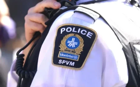 Alleged Murder-Suicide Leaves Two Dead at Plateau Bar