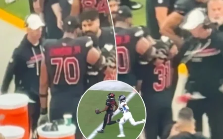 Cardinals Coach Criticizes Emari Demercado in New Sideline Video