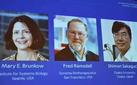 US and Japan Scientists Win Nobel Medicine Prize for Immune System Breakthrough