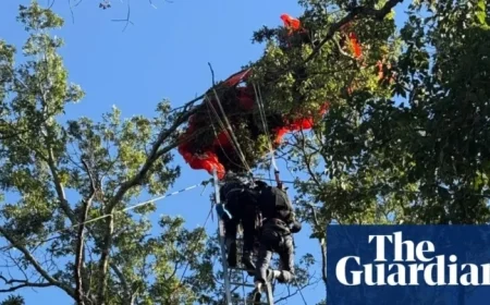 Nashville Skydiving Instructor Dies After Apparent Parachute Failure