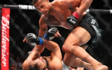 Woman Fatally Pinned Under TTC Bus at Royal York Station: Police