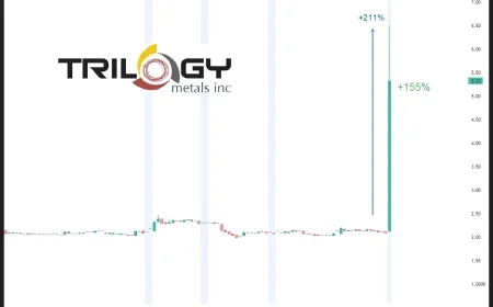 Trilogy Metals Stock Soars After U.S. Government Investment and Alaska Mining Road Revival