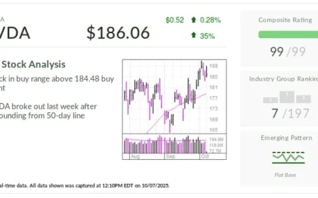Nvidia Stock Remains Strong Despite OpenAI’s Collaboration with AMD