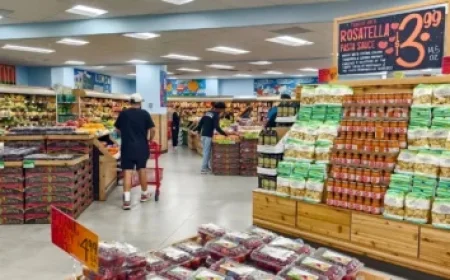 Anthropic and IBM Forge Strategic Partnership