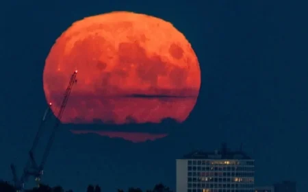 See the First 2025 Supermoon: Harvest Moon Viewing Guide