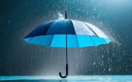 Dow Jones Futures Climb Despite Oracle Impact; Tesla Falls on Affordable Model Y