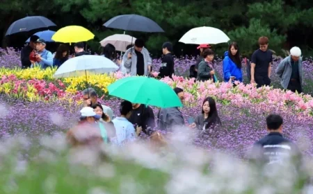 Chuseok Holiday Ends with Scattered Drizzles Nationwide