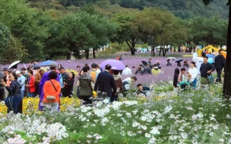 Today’s Weather: Cloudy with Occasional Rain in Gangwon