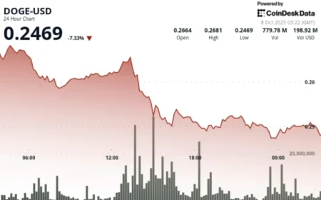 Dogecoin Drops 8% Before Whale Activity Stabilizes at $0.25