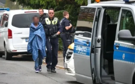 Bob Ross Painting Sale Supports Public TV Amidst Funding Cuts