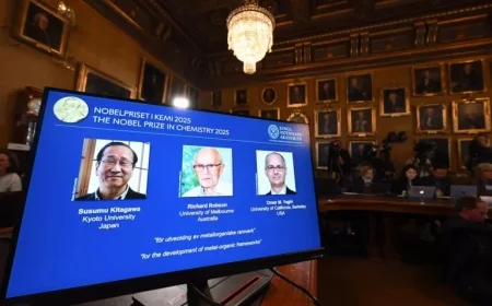 Chemistry Nobel Prize Honors Innovators of Metal-Organic Frameworks