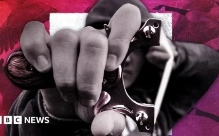 Farmer Warns: Children Threaten Safety with Catapults