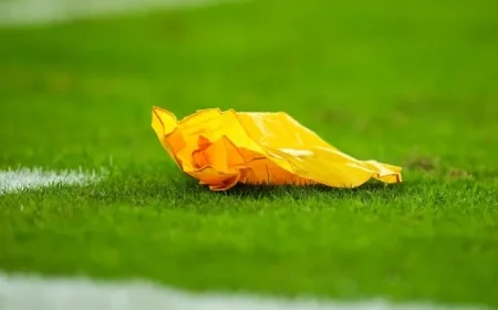 20 Players Suspended After NCAA Division II Football Game Brawl